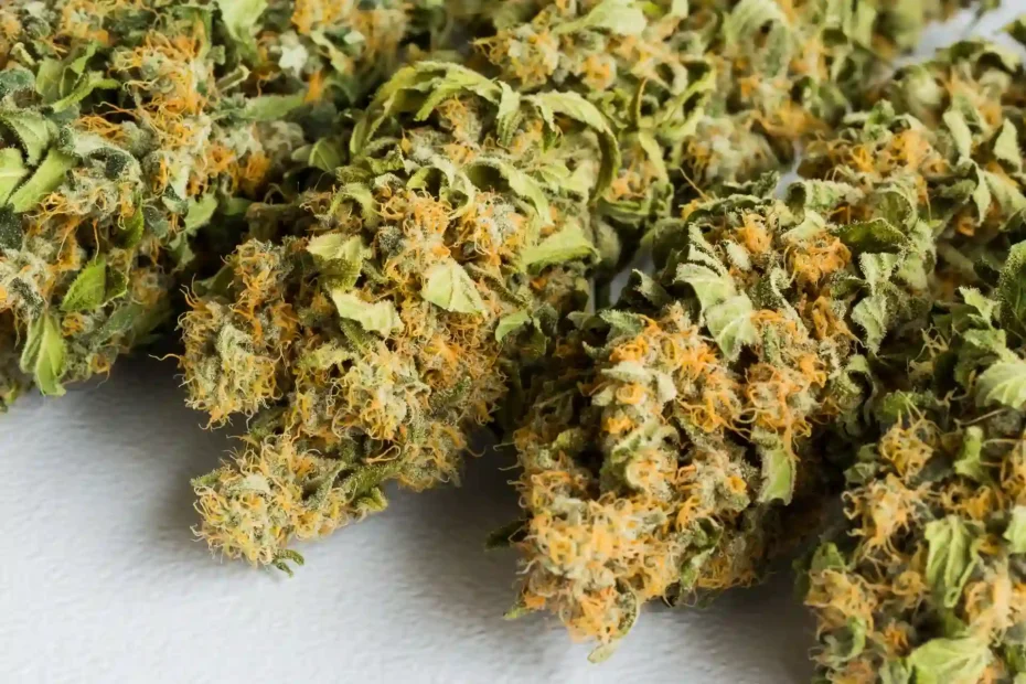 CBD Flower